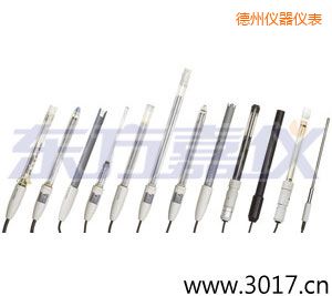 德州離子選擇性電極