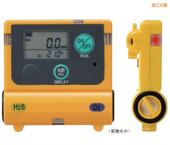 麗江復合型氣體檢測器